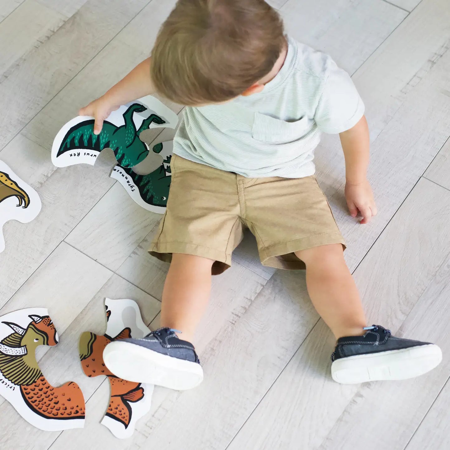 Beginner Puzzles | Dino