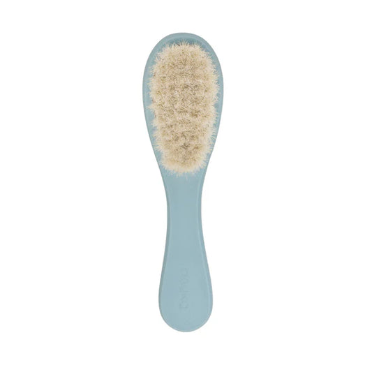 Baby's First Brush | Lily Blue