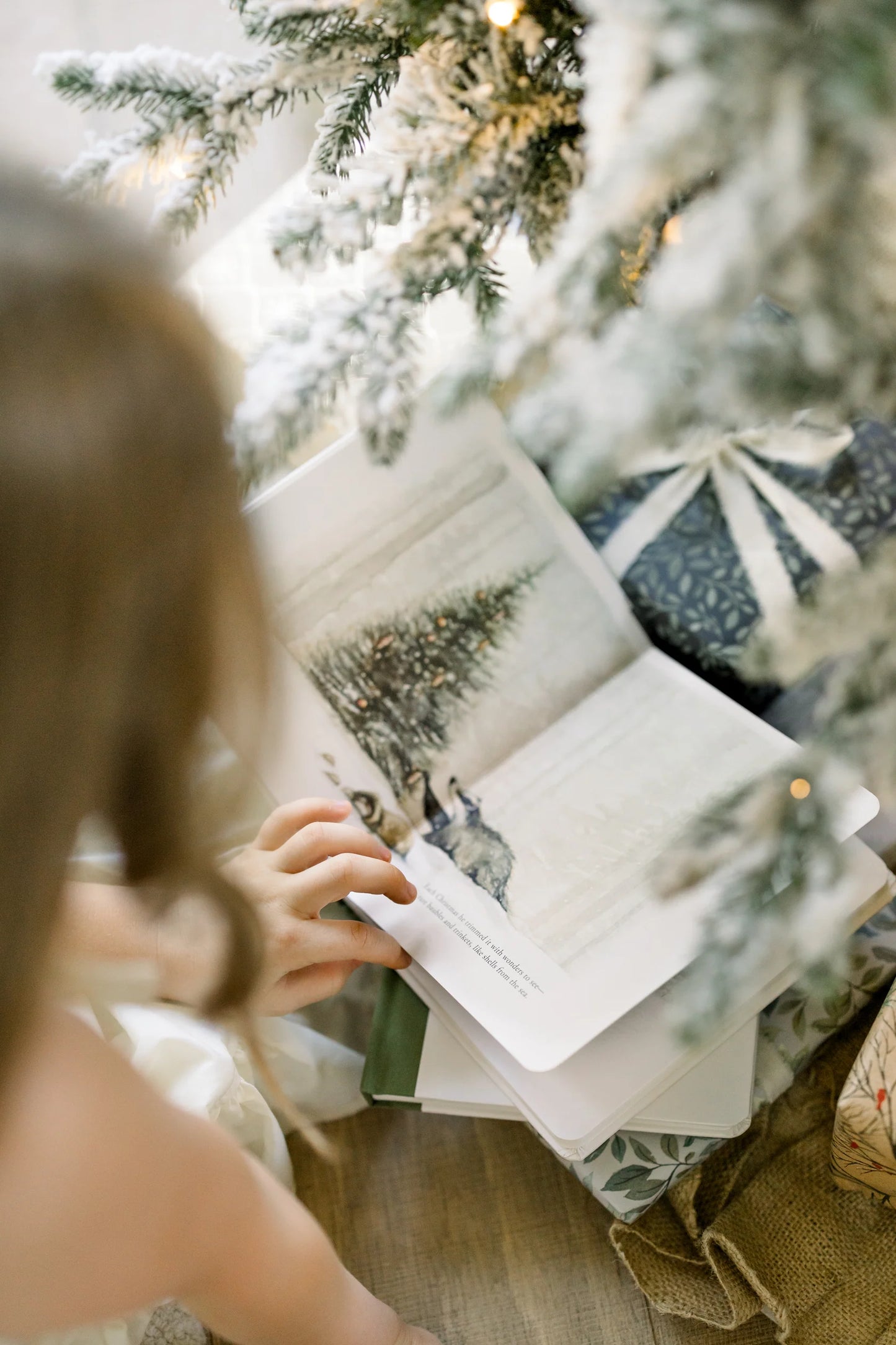 Our Little Adventure at Christmas