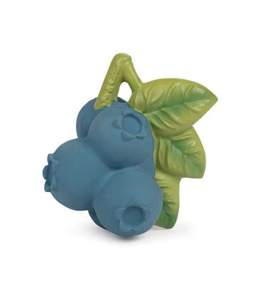 Fruit and Veggie Teethers