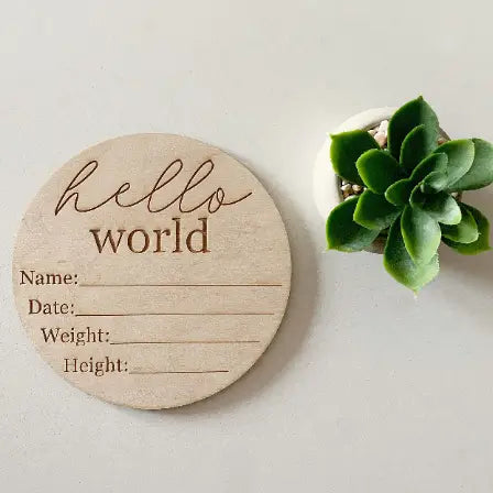 Hello World Baby Info Disc