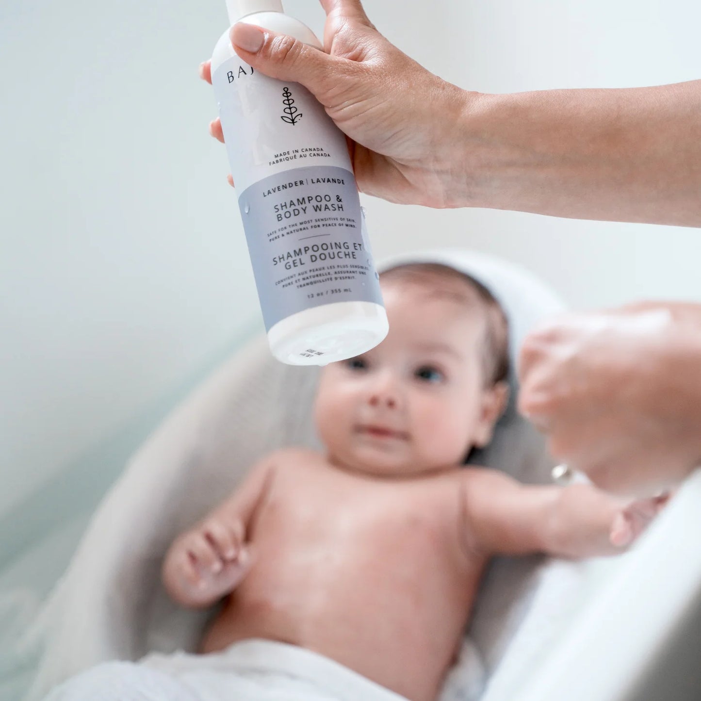 Shampoo & Body Wash | Lavender