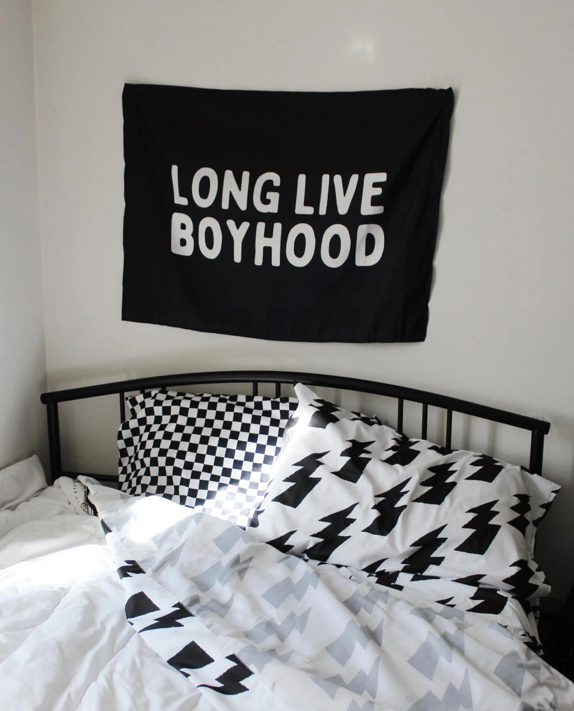 Long Live Boyhood Banner