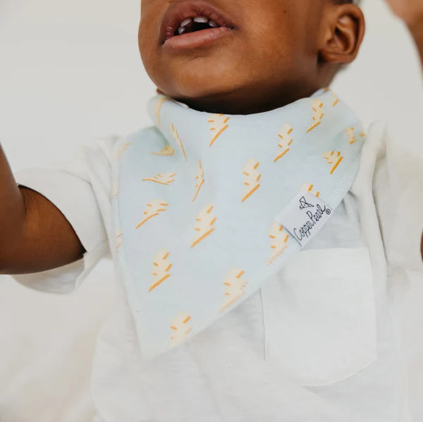 Bandana Drool Bibs | Vance