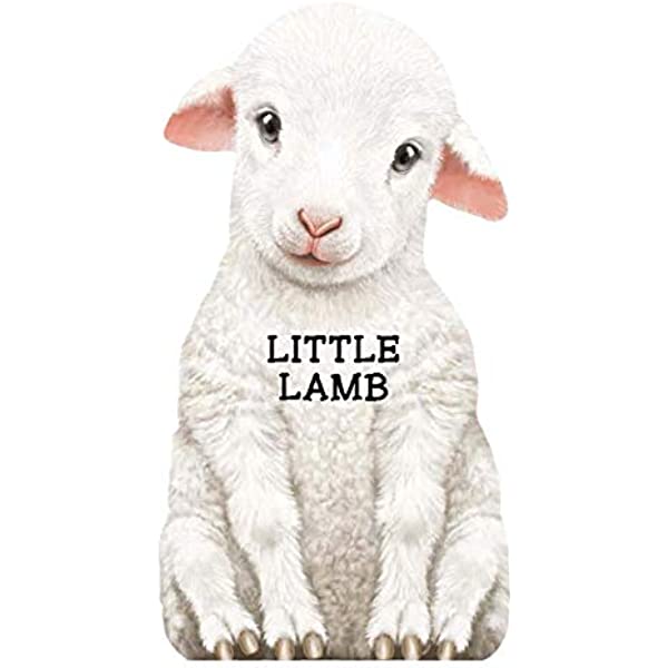 Little Lamb Book